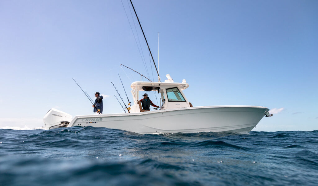 starboard profile - 341cc